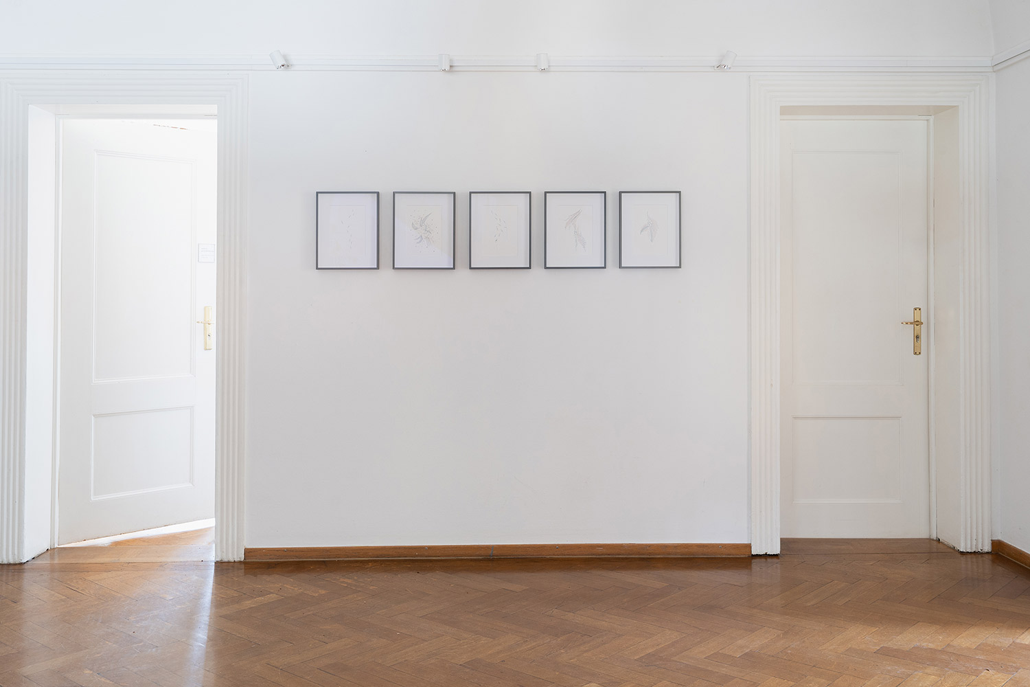 Ausstellung Seidlvilla 2024